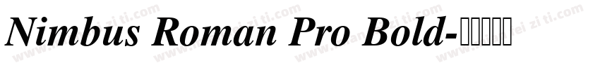 Nimbus Roman Pro Bold字体转换